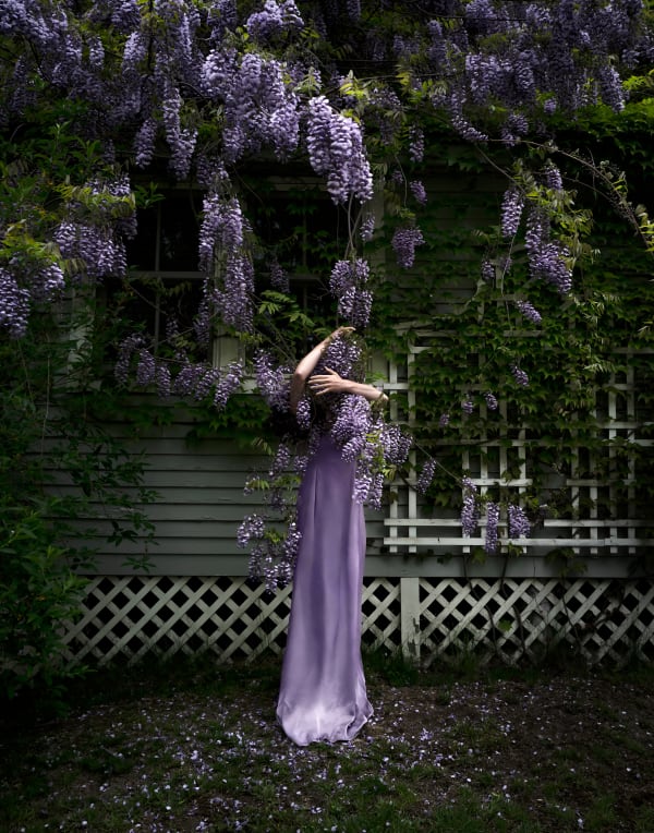 Cig Harvey, Wisteria, Camden, Maine, 2021