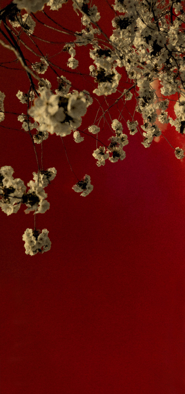 Albarrán Cabrera, The Mouth of Krishna #781, 2018/2023