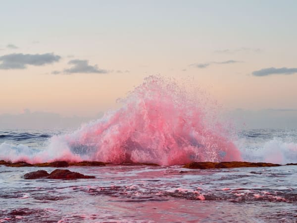 Inka & Niclas, 4K Ultra HD XXXVIII, 2025