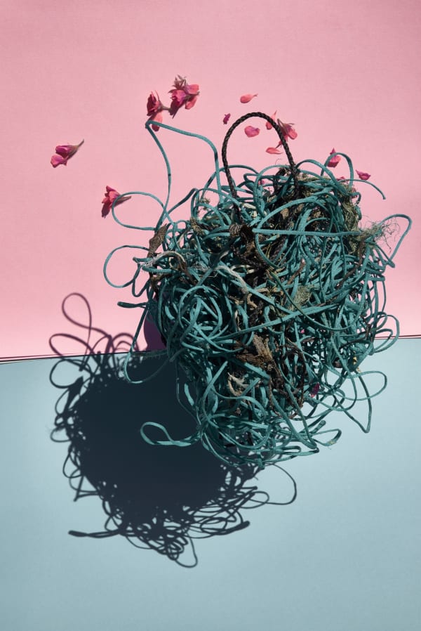 Thirza Schaap, beehive, 2017