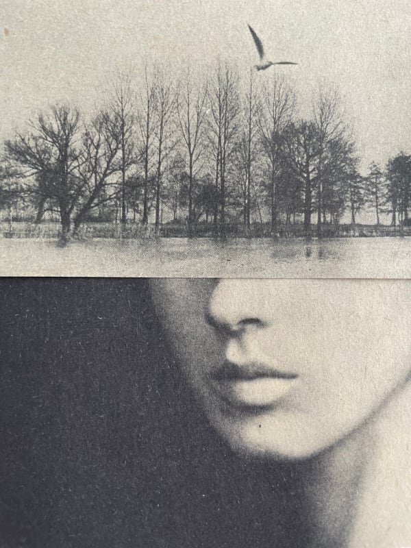 Miriam Tölke, Snapshot, 2022