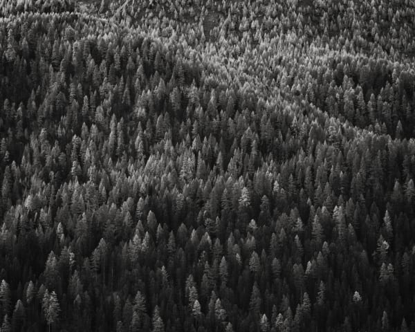 Jeffrey Conley, Autumn Hillside, Engadine, Switzerland, 2023