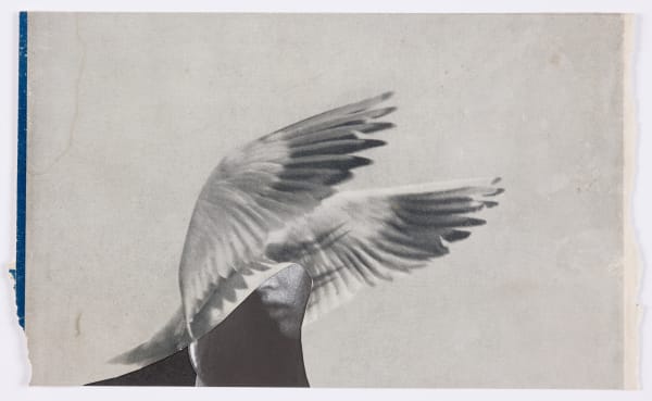 Miriam Tölke, Fan Out, 2021