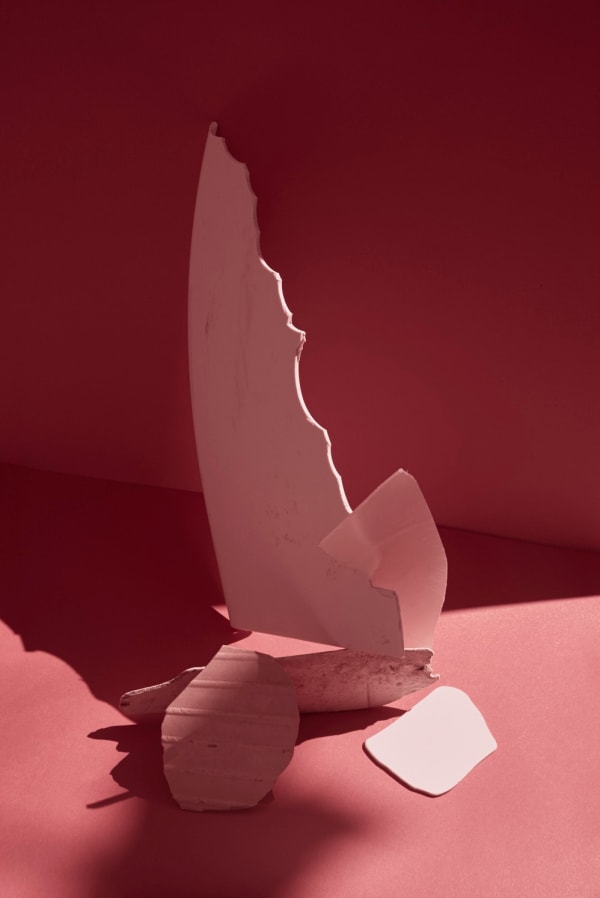 Thirza Schaap, shark attack, 2017