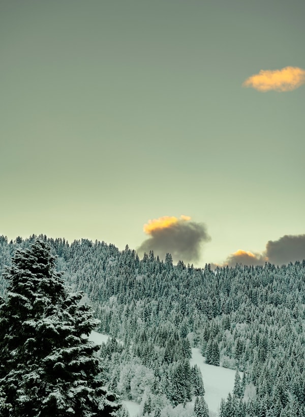 Philipp Keel, Good Evening, 2021