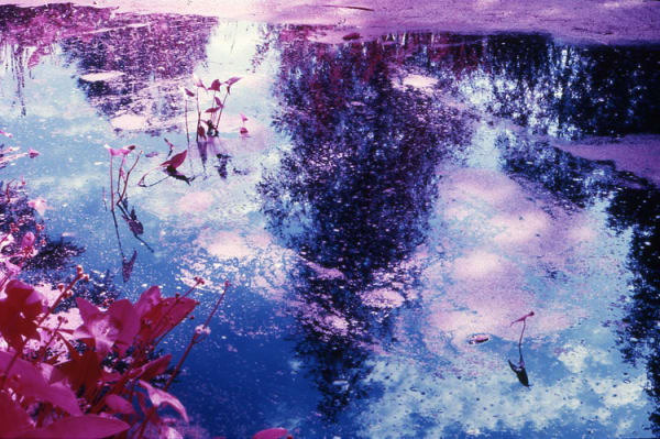 Simone Kappeler, Grütried, 21.8.2000, 2000