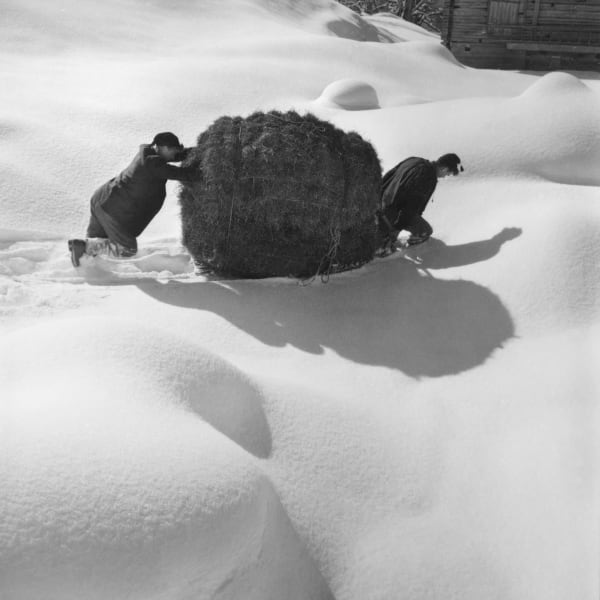 René Groebli, Transporting Hay II/Heutransport II (#1852), Berner Oberland, Schweiz, 1956