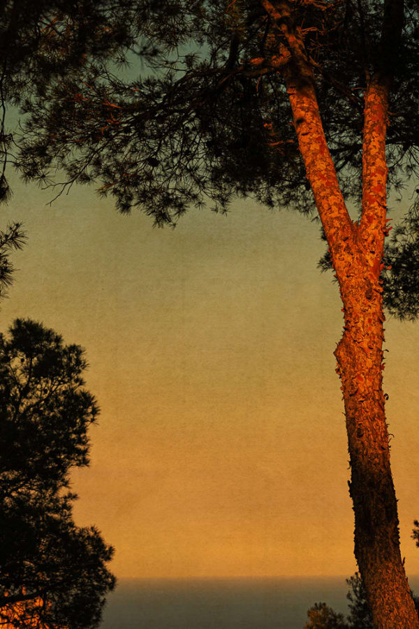 Albarrán Cabrera, The Mouth of Krishna #60886, 2022