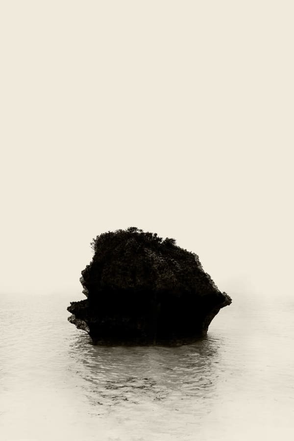 Paul Cupido, Heart, 2024