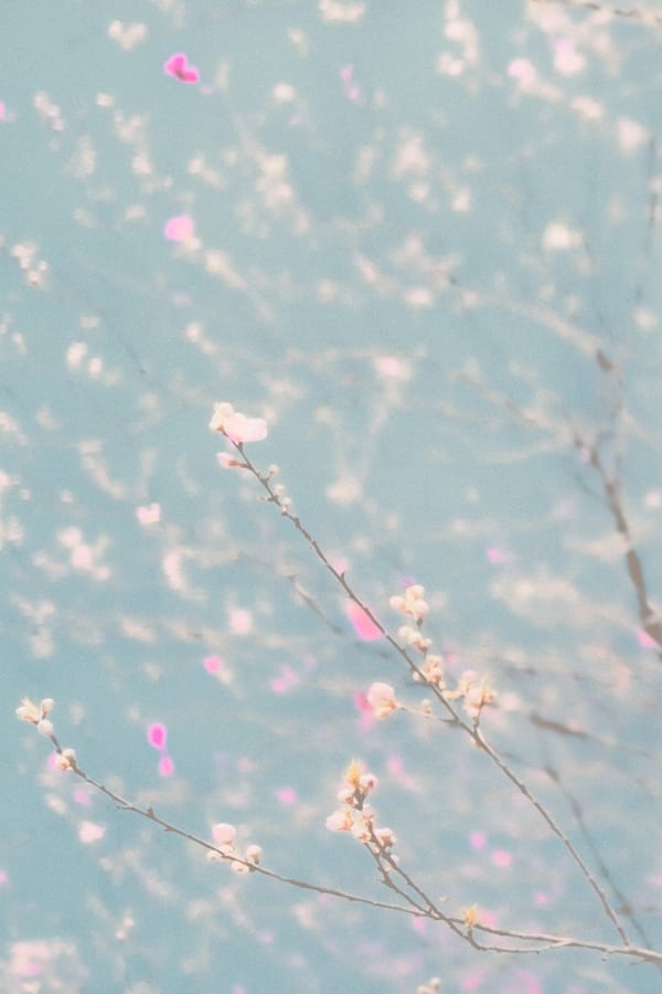 Paul Cupido, Awakening III, 2025