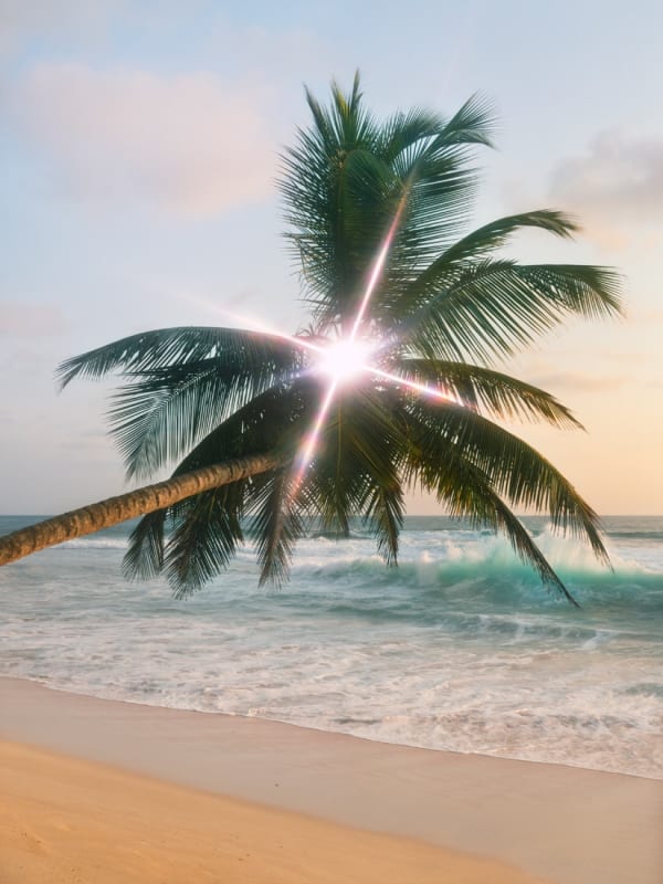 Inka & Niclas, Extensions I, 2022