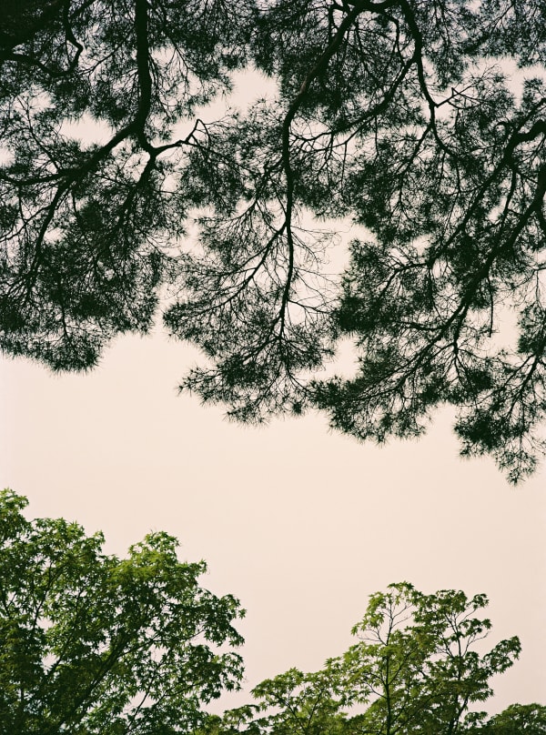 Philipp Keel, Maruyama Park, 2017