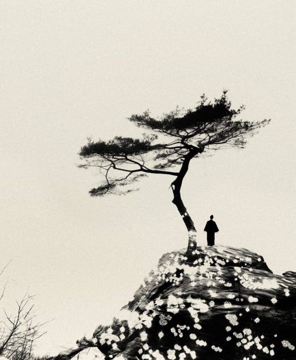 Paul Cupido, Nanae, 2024