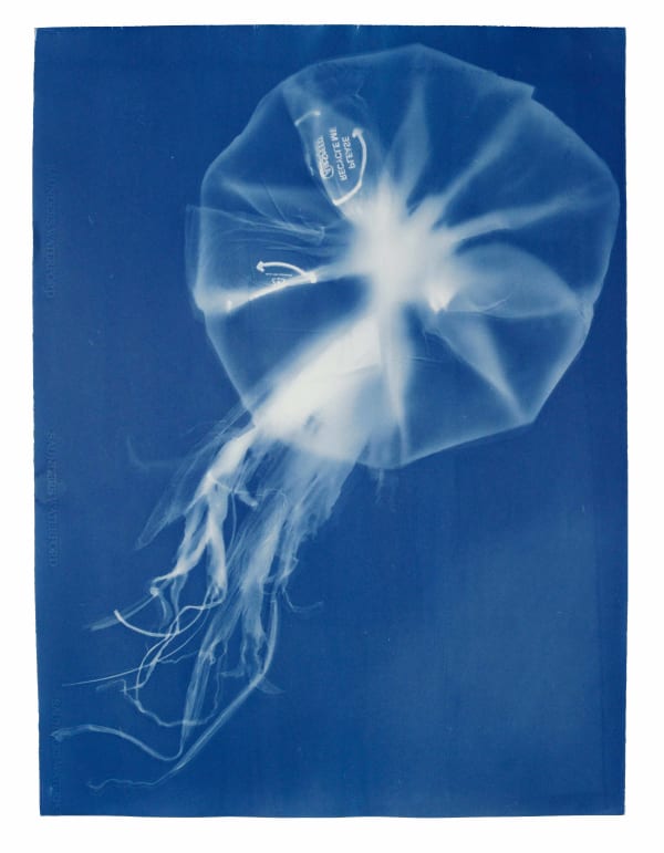 Rachel Thomson, Invasive Medusa no. 12, 2023