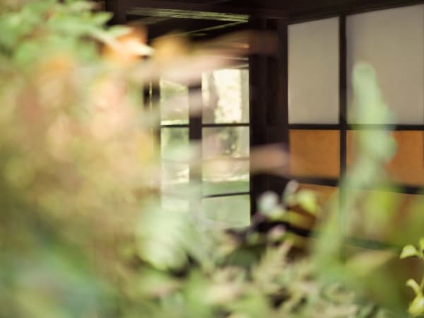 Mona Kuhn, Entrance, from the series Kings Road, 2021