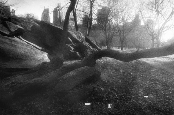 René Groebli, Central Park, New York Melancholia (#729), 1978
