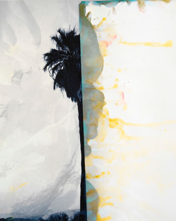 Douglas Mandry, Mara I, 2023