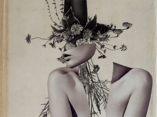 Miriam Tölke, Plant Deeper, 2021