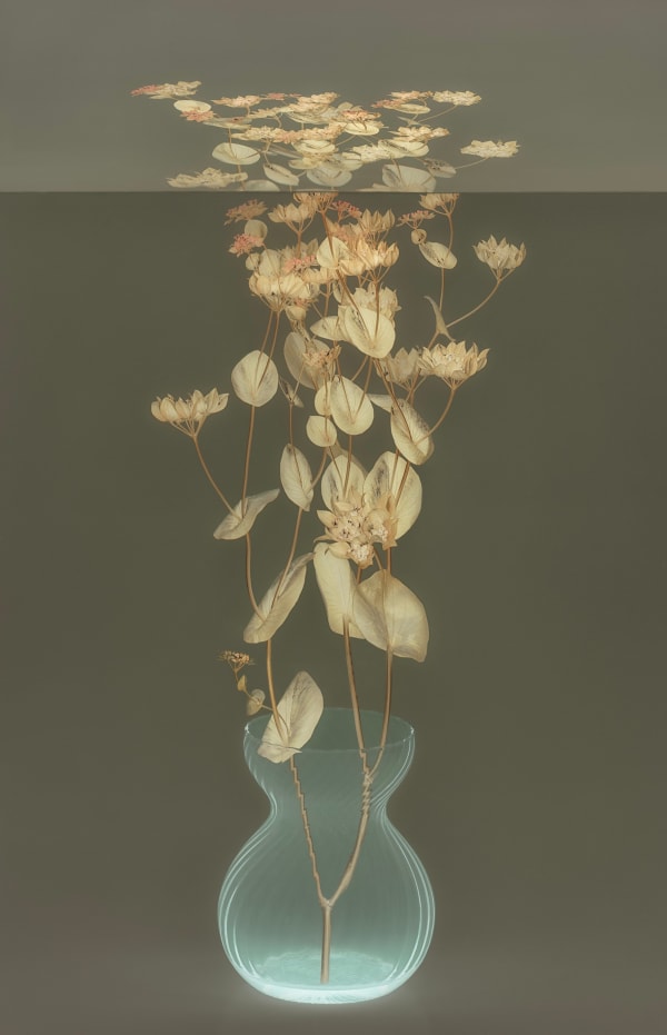 Danielle Kwaaitaal, Mirage Series - Bupleurum, 2024