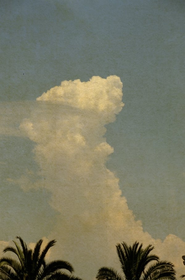 Albarrán Cabrera, The Mouth of Krishna #269, 1999