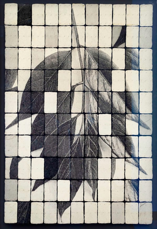 Joost Vandebrug, TDIIX, 2023