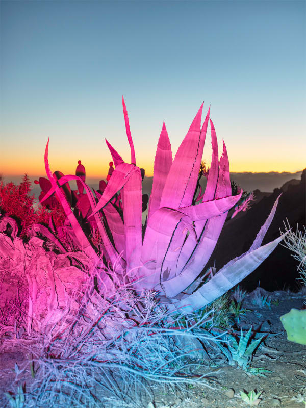 Inka & Niclas, 4K Ultra HD XXXIX, 2024