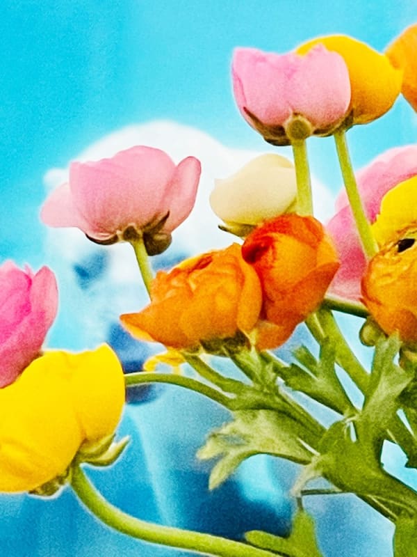 Philipp Keel, Bouquet, 2021