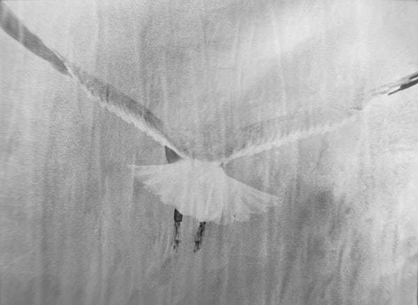 Martin Bogren, Italia #27, 2014