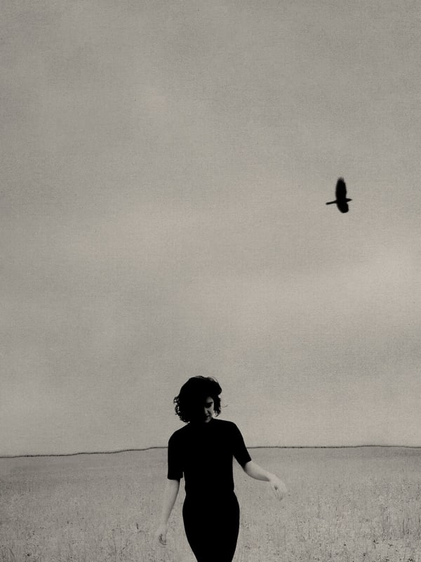 Paul Cupido, Chloé dans les champs III, 2022