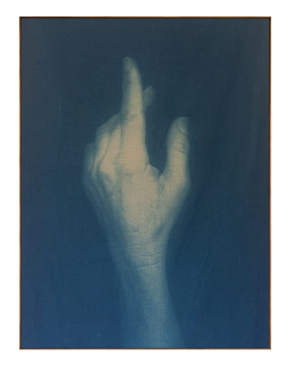 Adam Jeppesen, Work no. 170, from the series The Pond, 2025