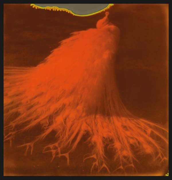 Simone Kappeler, Weisser Pfau XII, 5.4.2018, 2018