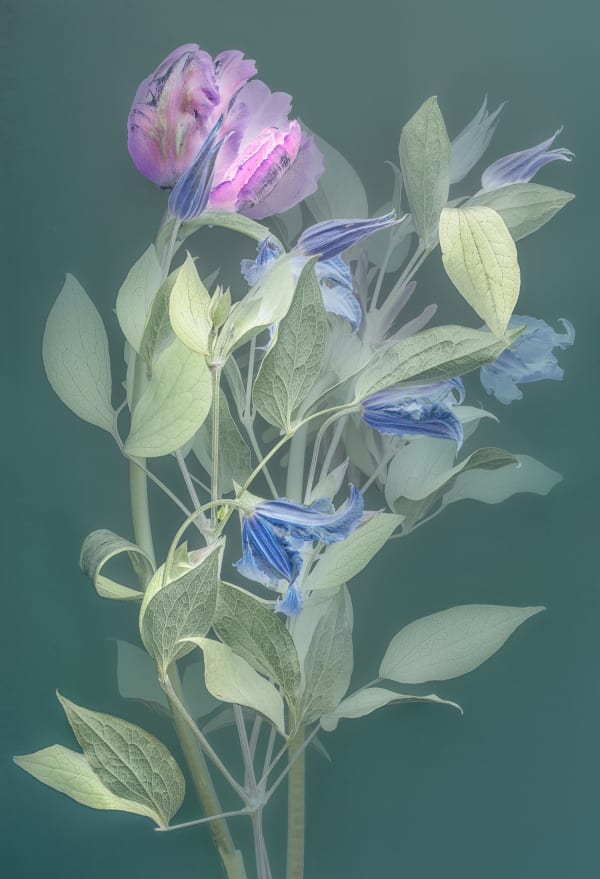 Danielle Kwaaitaal, Florilegium P06, 2018