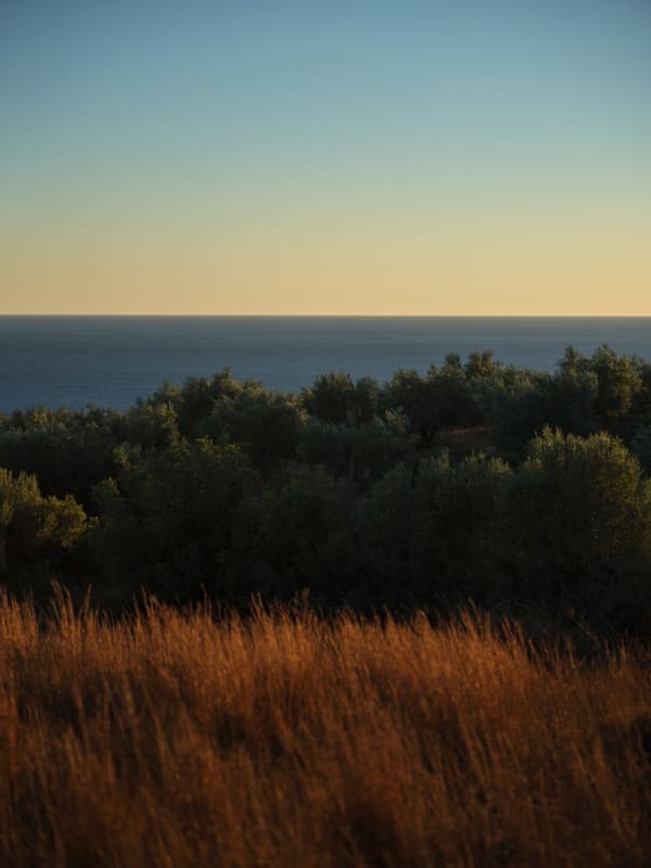 Sandro Diener, Libyan Sea I, Greece, 2022