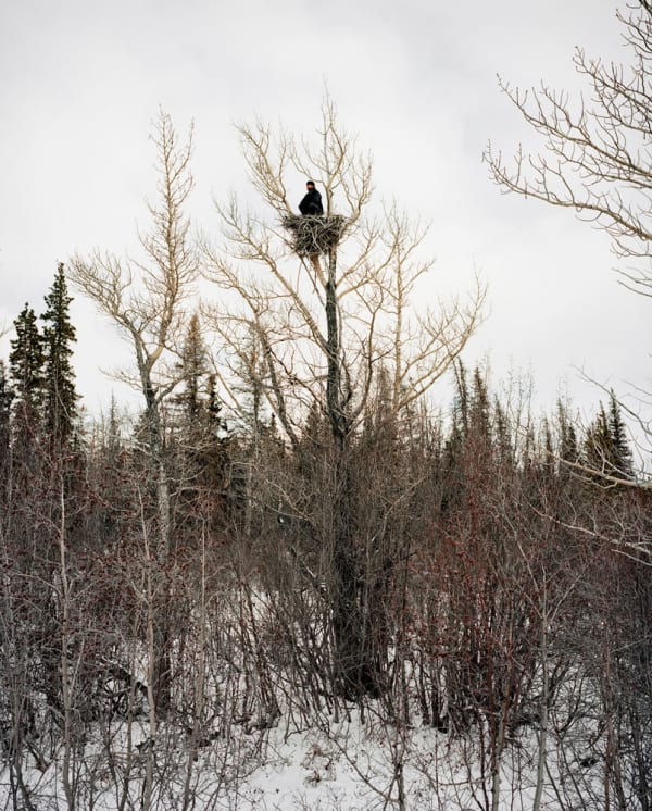 Bruno Augsburger, Aerie, Yukon, 2009