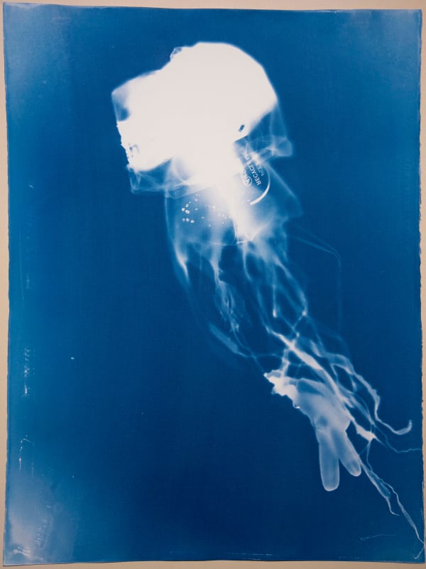 Rachel Thomson, Invasive Medusa no. 2, 2023