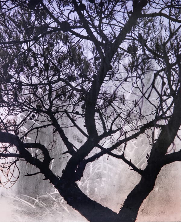 Douglas Mandry, After the Ashes #16, 2023