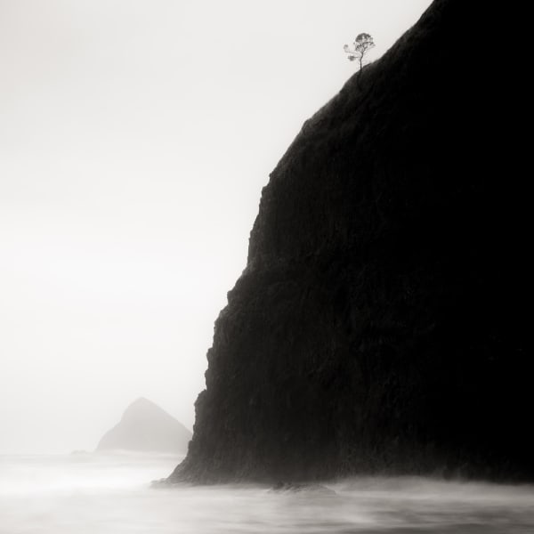 Jeffrey Conley, Lone Tree and Headland, Oregon, 2016