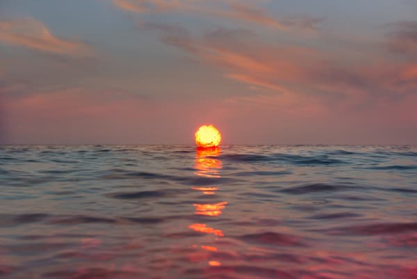 Inka & Niclas, Becoming Wilderness XXXI, 2015