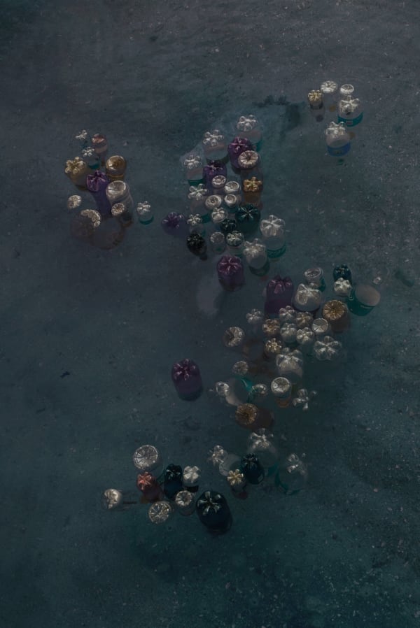 Thirza Schaap, waterlilies too, 2018