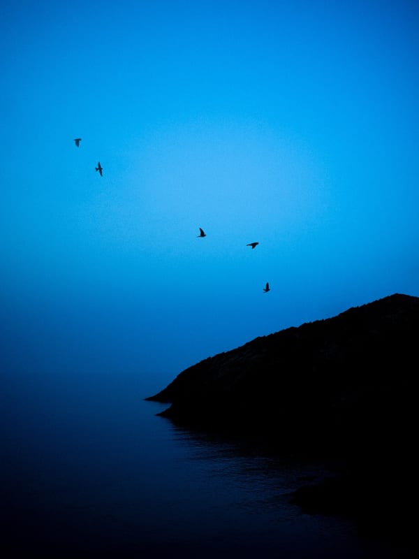 Paul Cupido, Azul, 2023