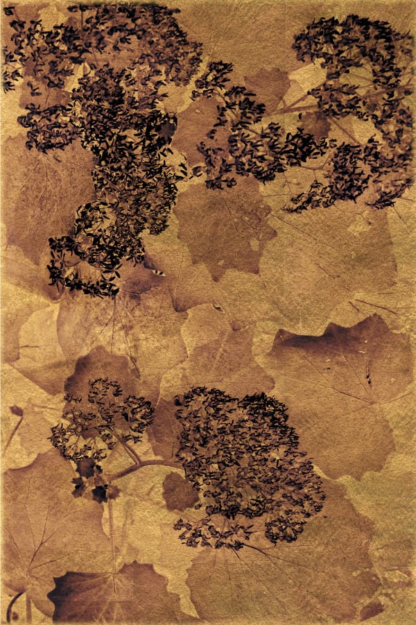 Albarrán Cabrera, The Mouth of Krishna #21, 2017