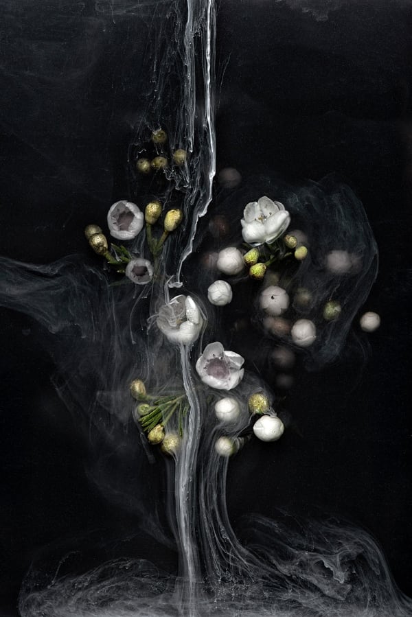 Danielle Kwaaitaal, Après Nous le Deluge Series - Orage, 2015