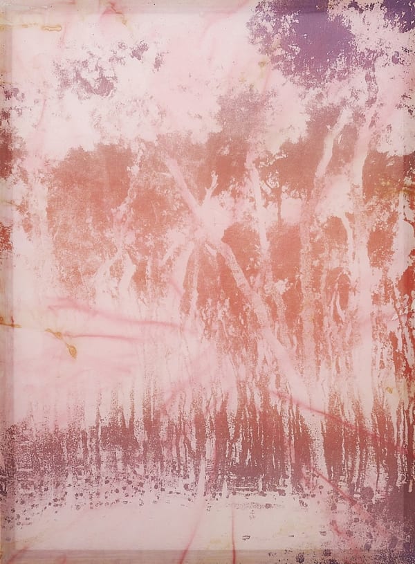 Douglas Mandry, Untitled (Tree II), from the series Les Archives de la Planète, 2025