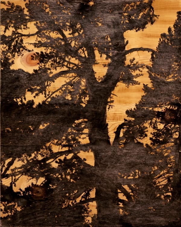 Douglas Mandry, Resilienza no. 1, Engadine, 2022