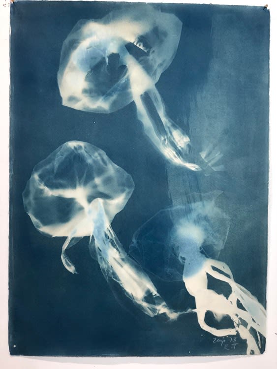 Rachel Thomson, Tanzania 3, 2013