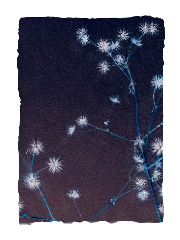 Paul Cupido, Nachthorn, 2017