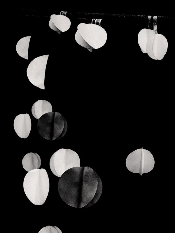 Paul Cupido, Ma Continuum, 2024