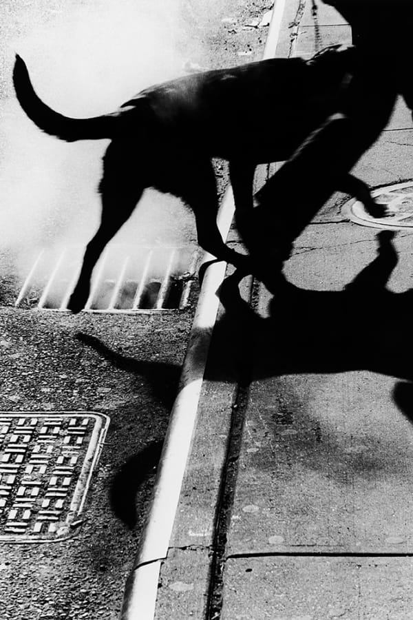 Renato D'Agostin, Metropolis, 17, New York, 2005