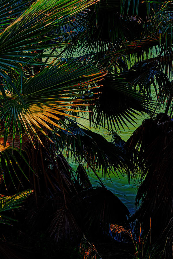 Albarrán Cabrera, The Mouth of Krishna #820, 2019