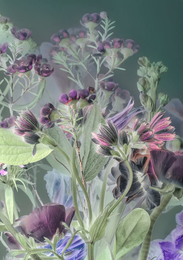 Danielle Kwaaitaal, Florilegium P15, 2017